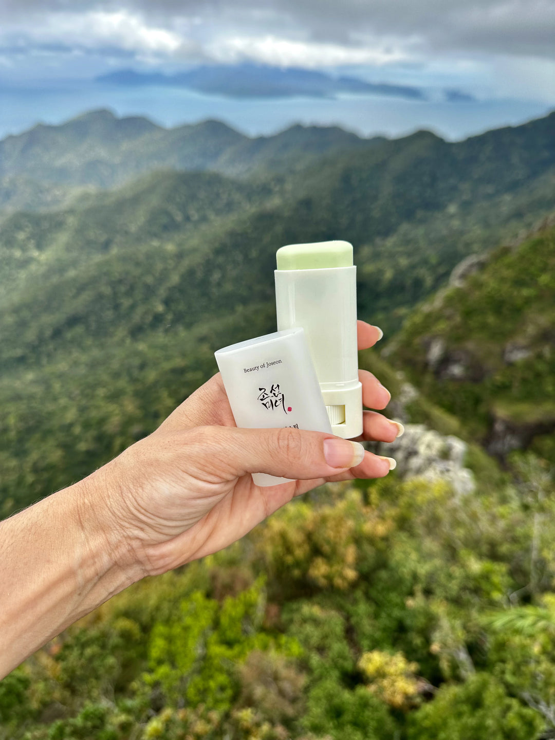 Beauty Of Joseon - Matte Sun Stick: Mugwort + Camelia SPF50 PA++++ - Nuaglowdk